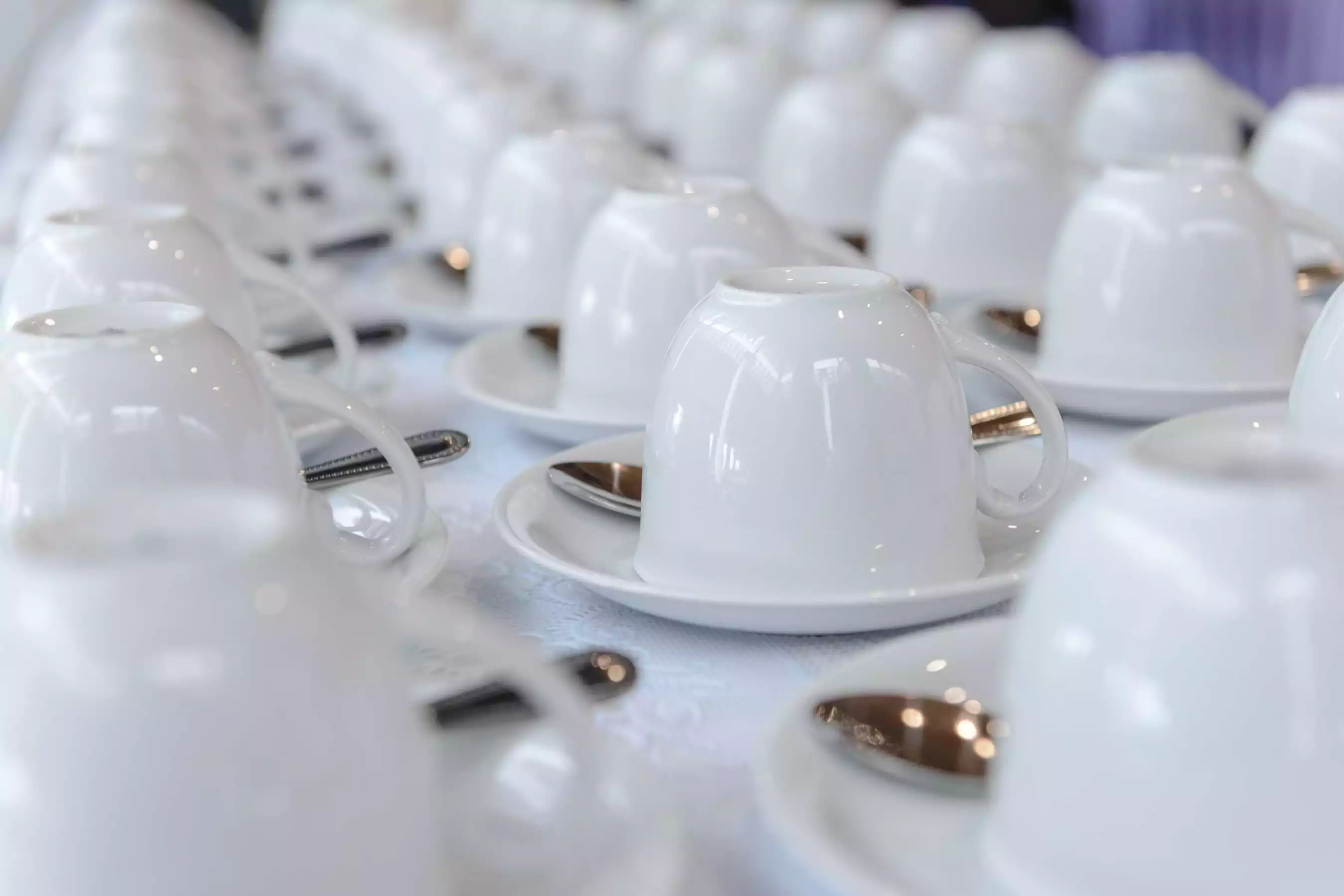 Rundum Service für ihre Festlichkeit