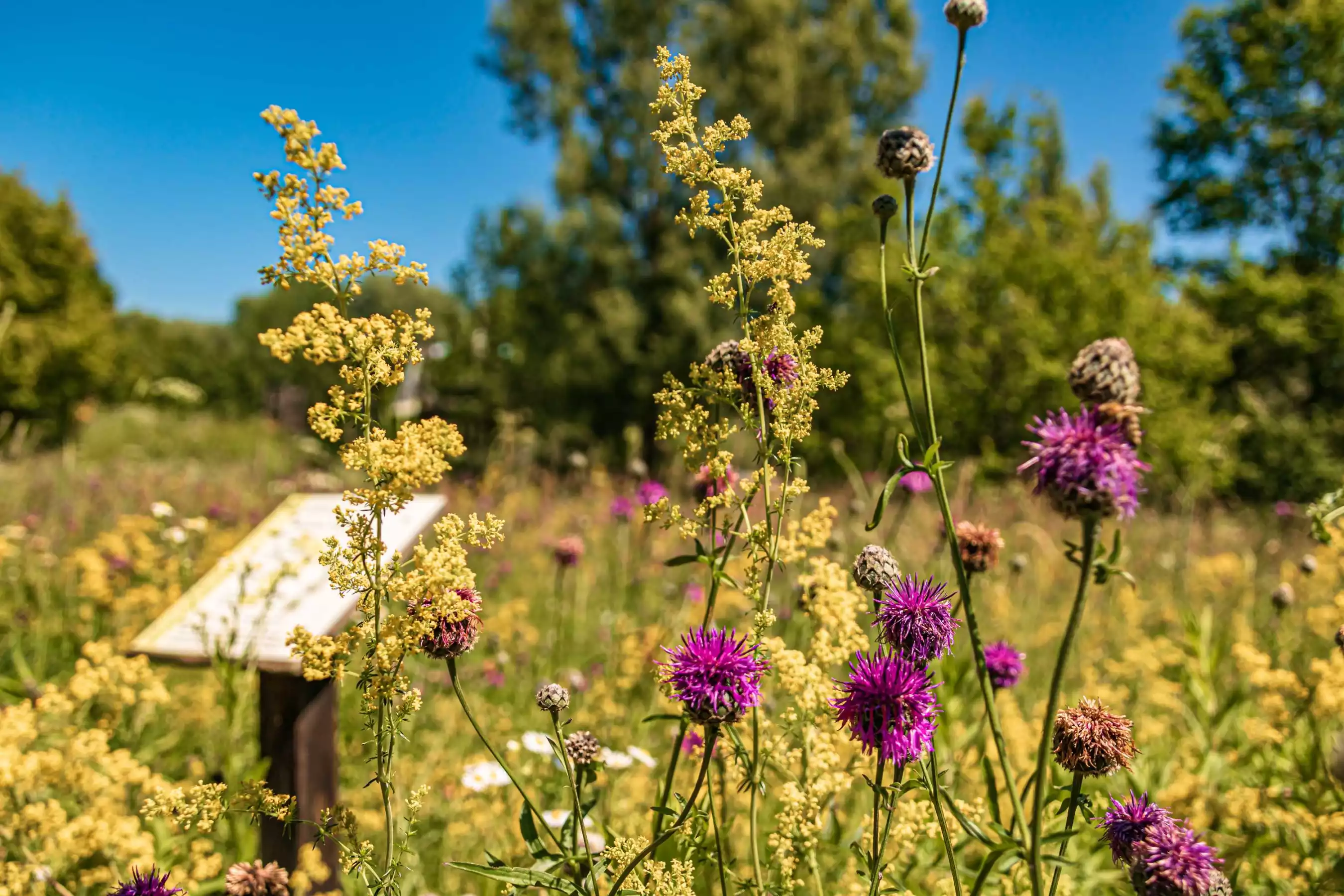 Urlaub in Plattling bei Deggendorf